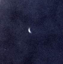 Magnitude: -4.5 / Phase: 0.206 / Phase angle: 126.0° / Elongation: 35.6° / Diameter: 42.46 sec